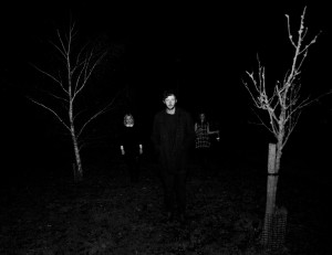 thickets-dark-1-web